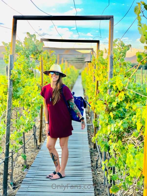 Vino anyone?