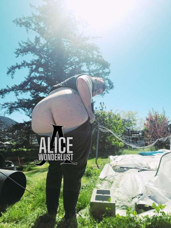 Do you wanna see me take a BBC or BWC? Hope you got discord...