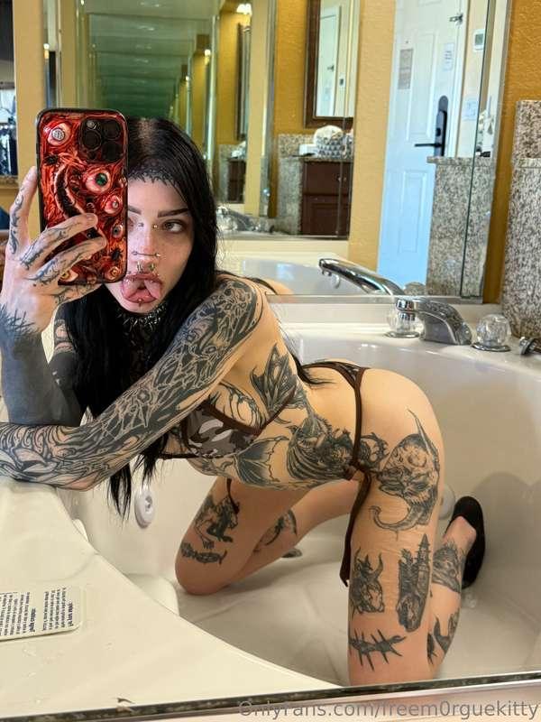 smash or pass 💦⛓️ main > @m0rguekitty ⛓️