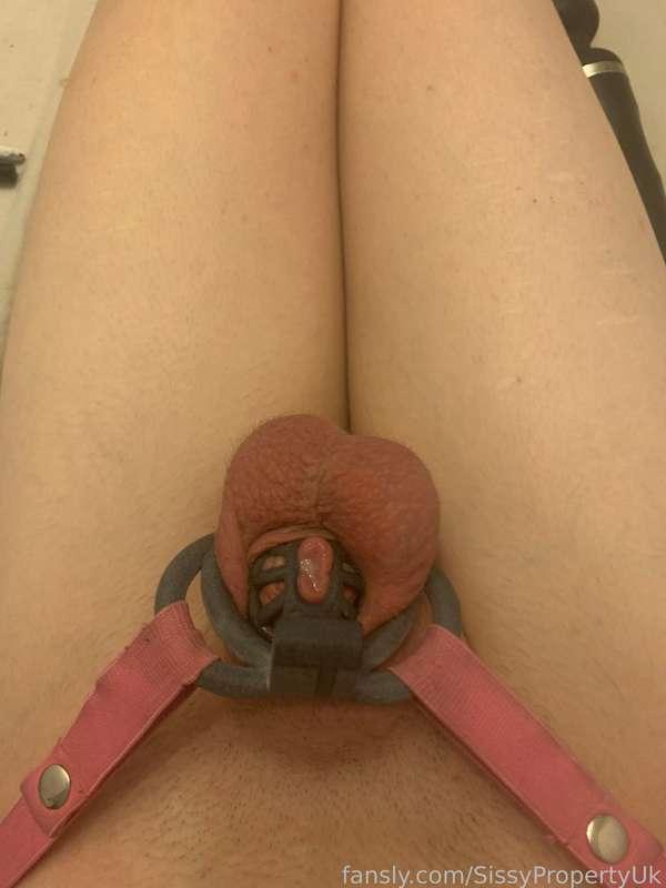 sissypropertyuk image #1