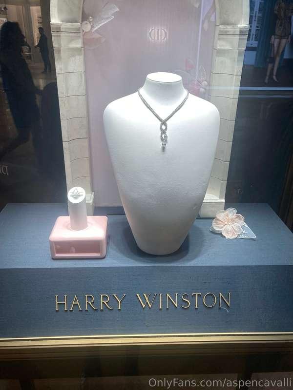 aspencavalli image #1