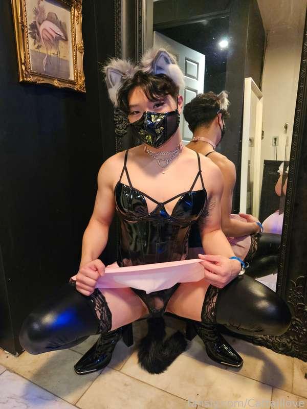 cattaillove image #14