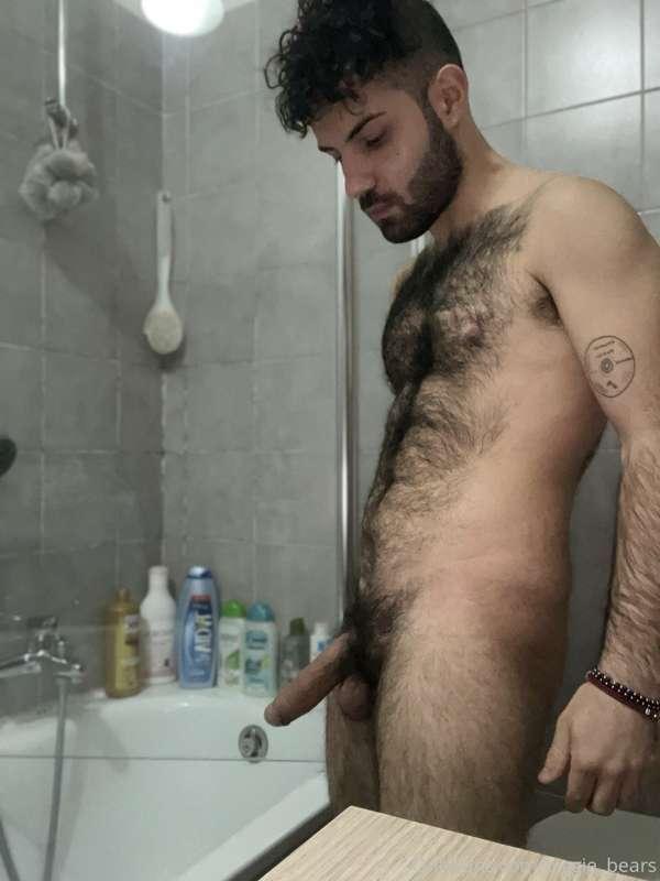 piggie_bears image #5