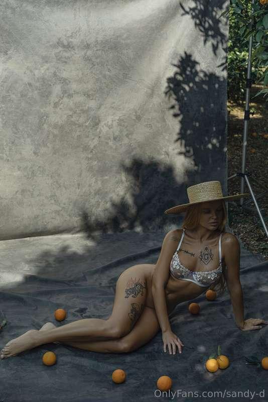 Will you help me pick oranges🍊🍊🍊?