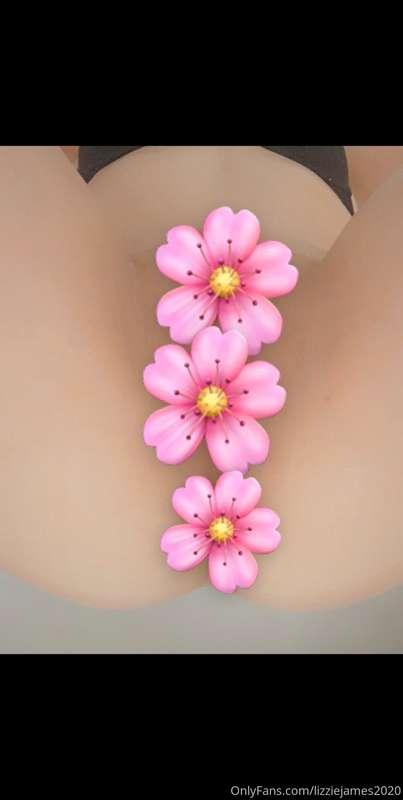 lizziejames2020 image #0