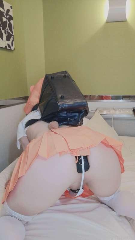 pigmananal image #11