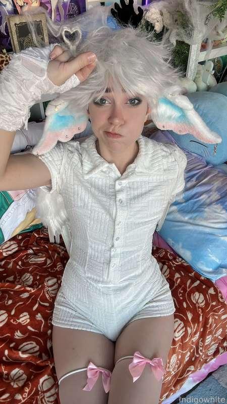 indigowhite image #12