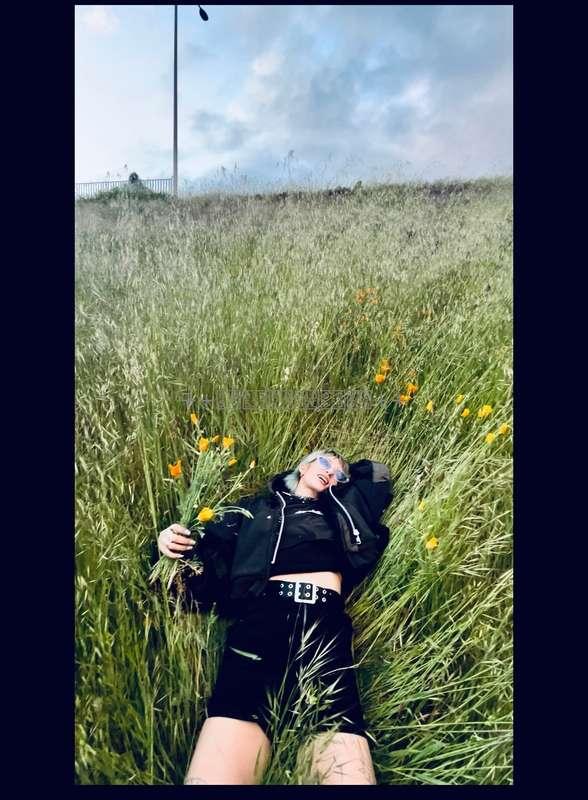 🌸🌞🍃🌾🌷🌿☘️🌺🍀🍂🌻