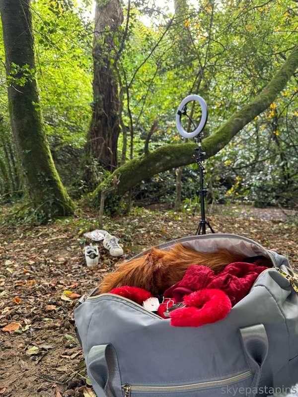 having some cheeky fun in the woods... keep your eyes peeled..