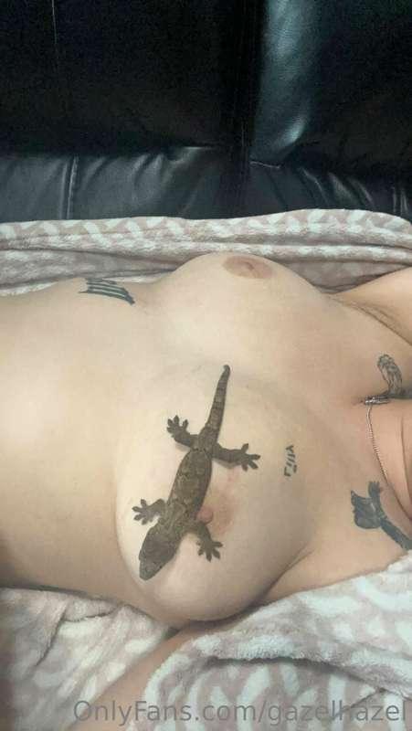 I got a new friend 🦎