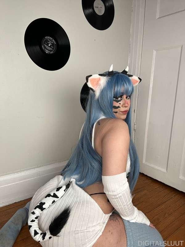 bunnisluut image #19