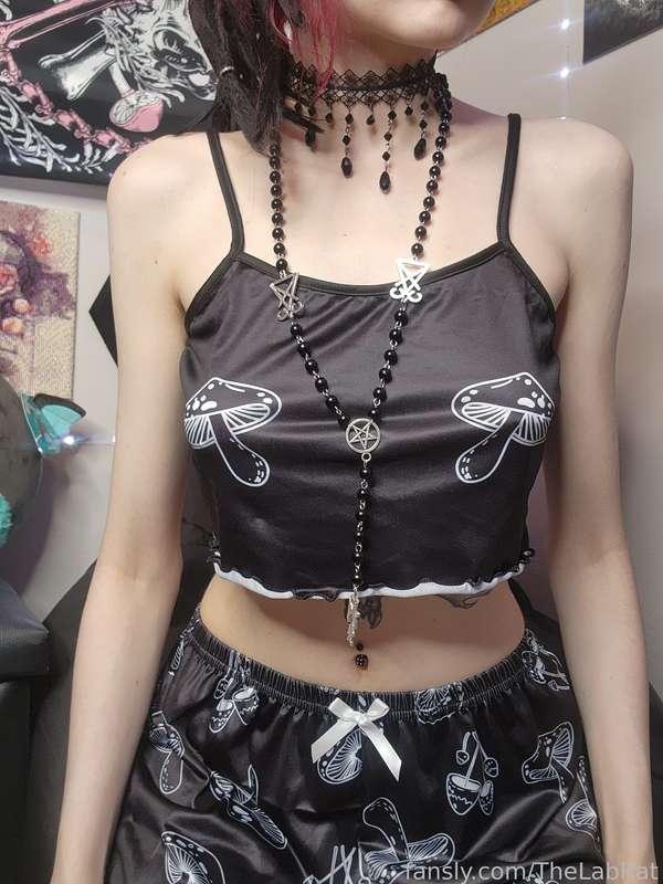 thelabrat image #3