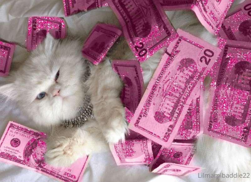 Who doesn’t like 🐱 and 💸