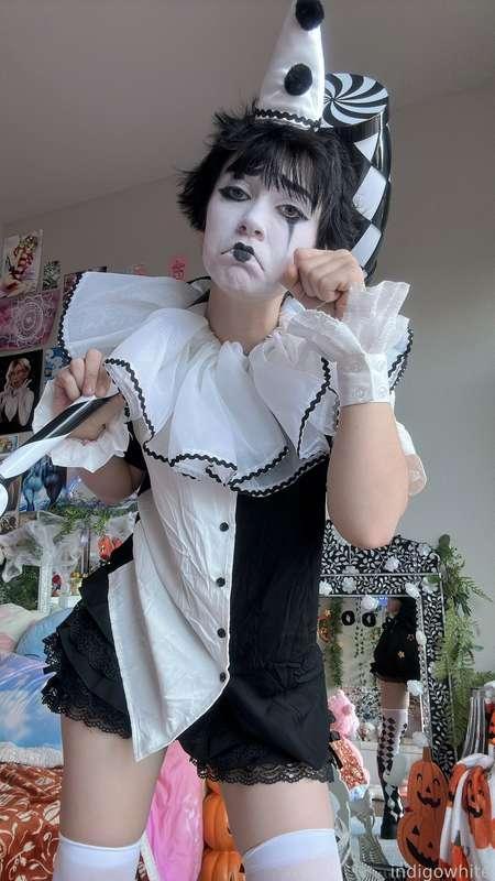 indigowhite image #118
