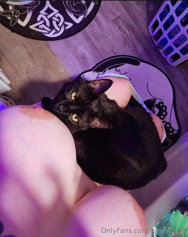 Can't do nothing around here with out getting pussy on my la..