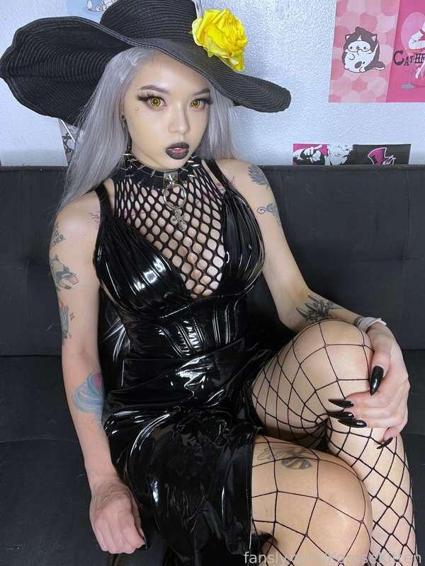 korpsekitten image #1
