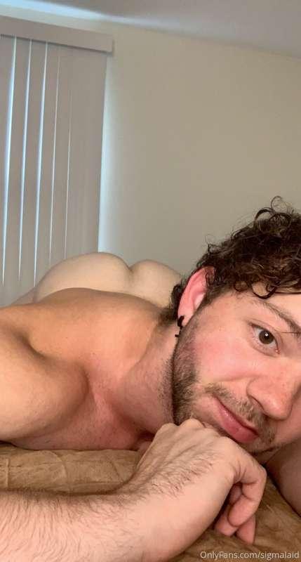 sigmalaid main image