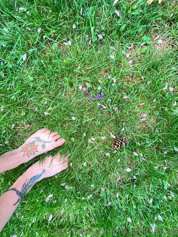 😍 nature and all it’s beauties 🥰