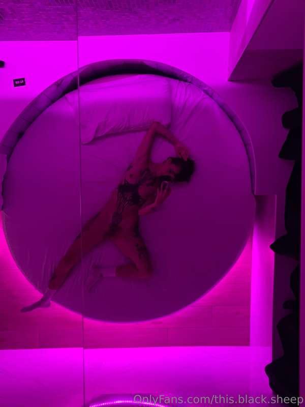 this.black.sheep image #0