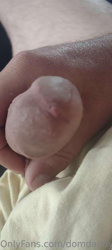 domdaddydave40 image #1