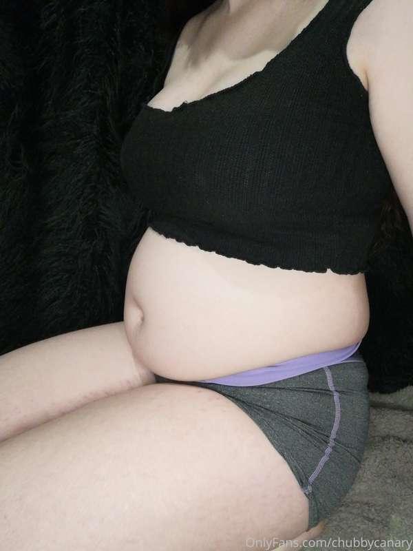 chubbycanary image #2