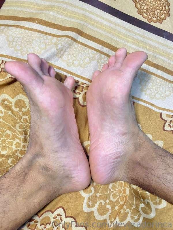🦶 @devoradorinca