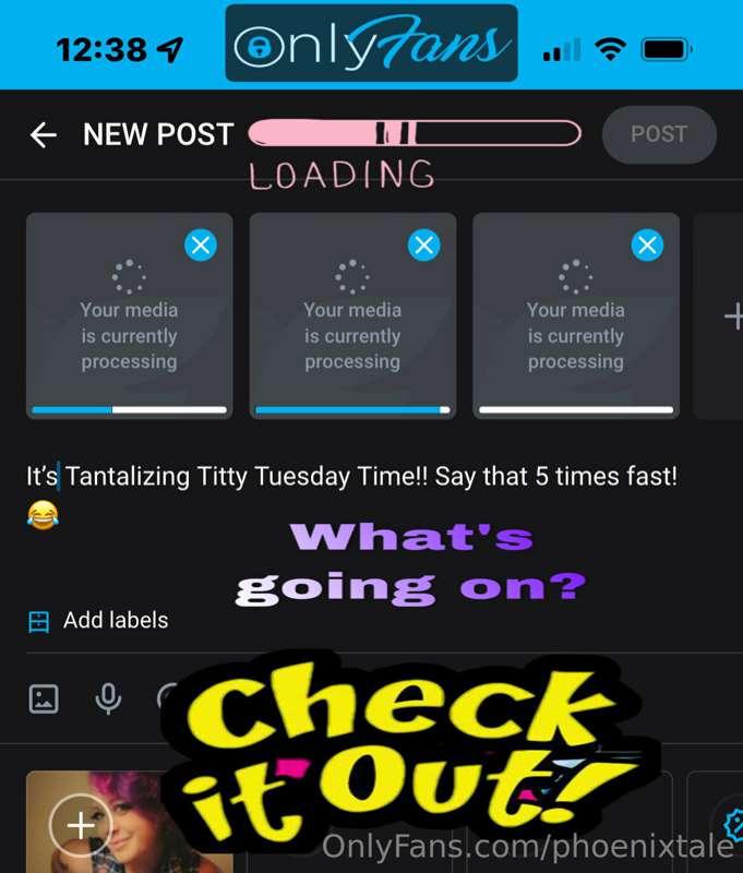 phoenixtale image #1