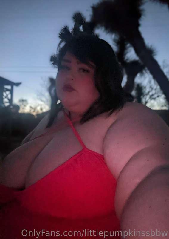 littlepumpkinssbbw image #0