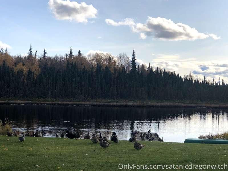 satanicdragonwitch image #1