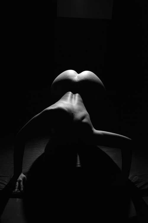 Studio lights
