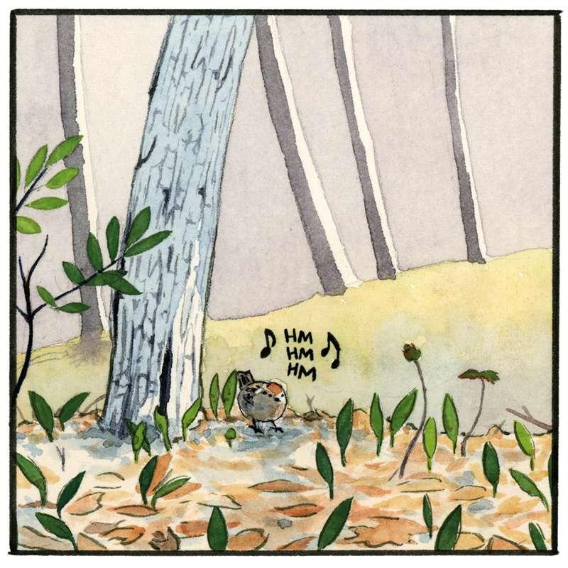 The Seed Song