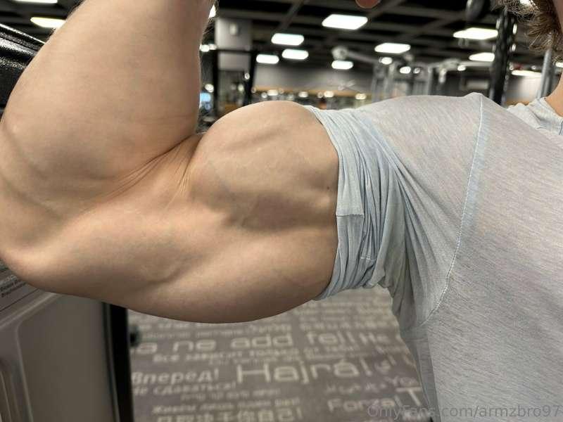 armzbro97 image #0