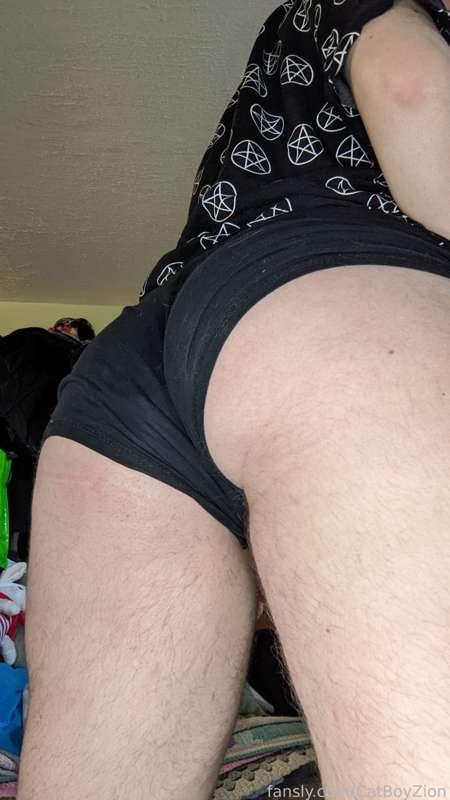 catboyzion image #0