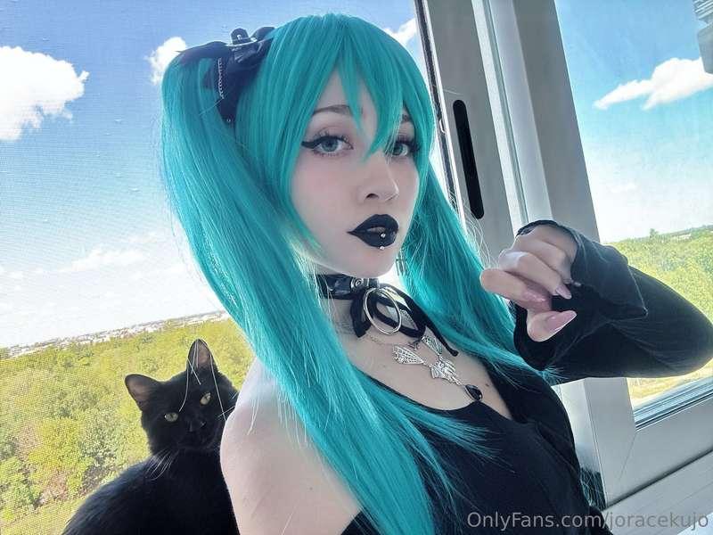 🩵🩵🐈‍⬛