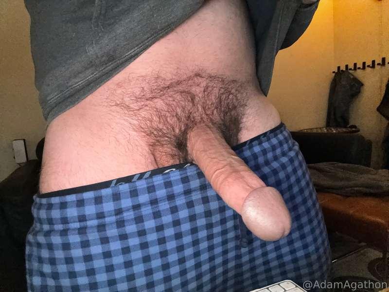 adamagathon image #3