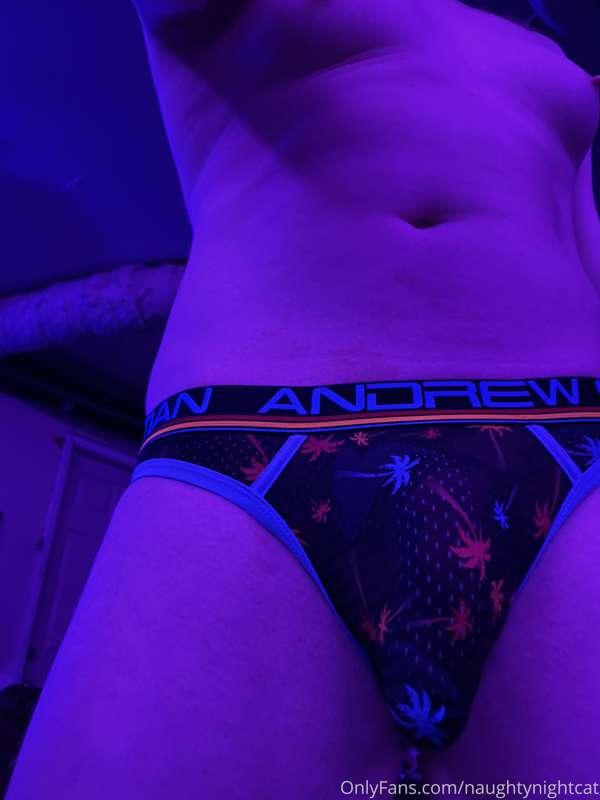 naughtynightcat image #2