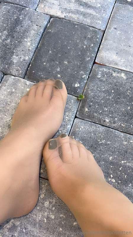 nylonskitten image #4