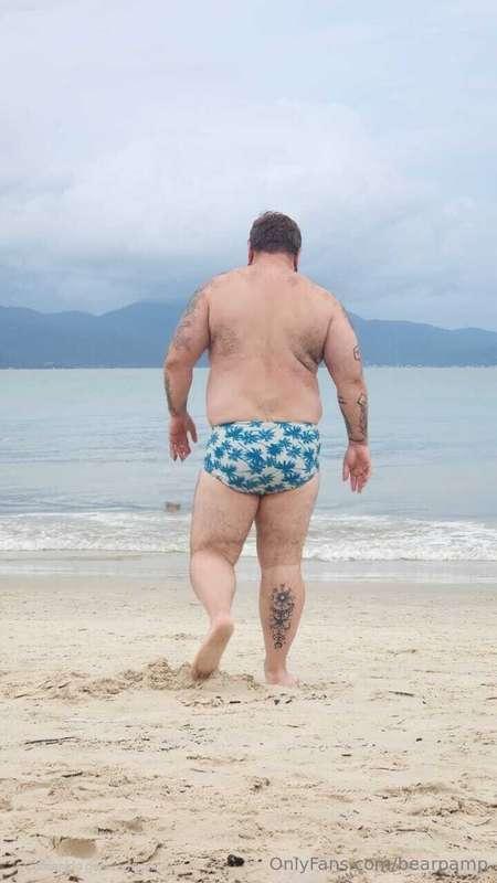 bearpamp image #1