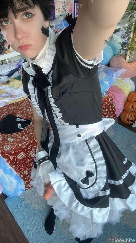 indigowhite image #39