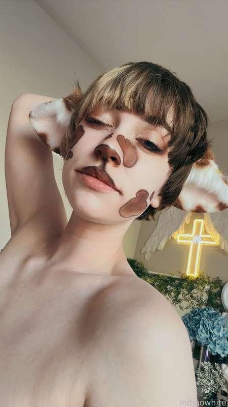 indigowhite image #320