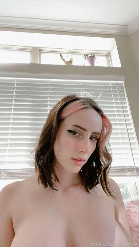 morgpie image #12