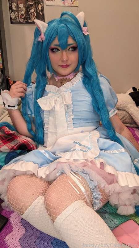 catboyzion image #3