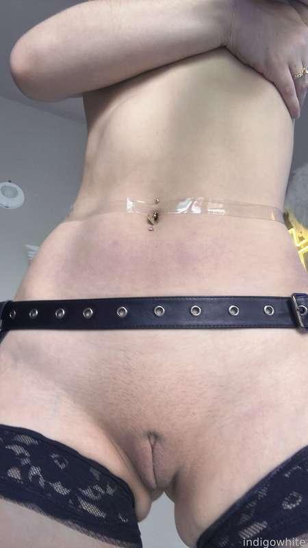 indigowhite image #266