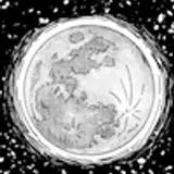 Orchid of the moon