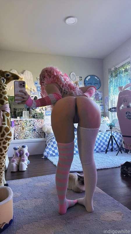 indigowhite image #209