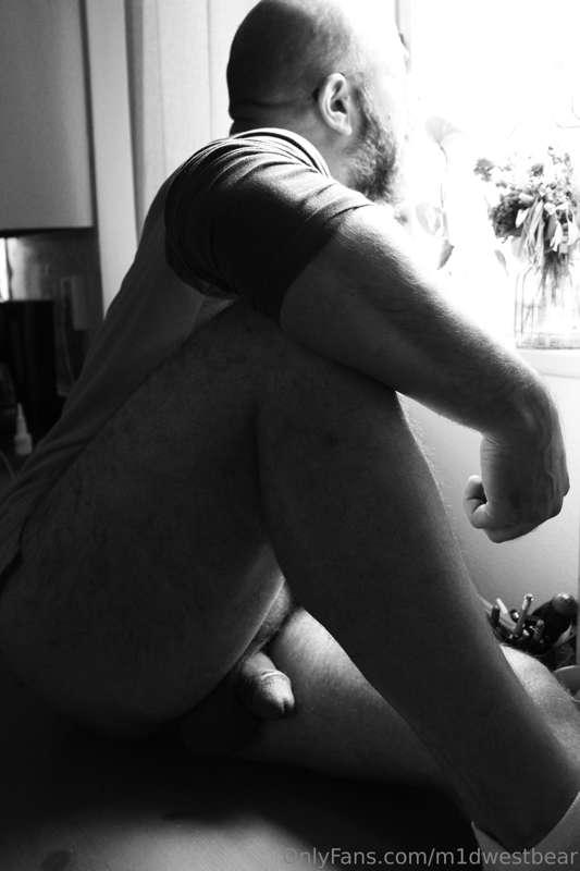 m1dwestbear image #7