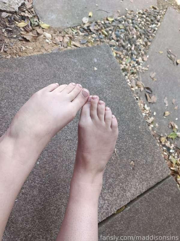 maddisonsins image #1