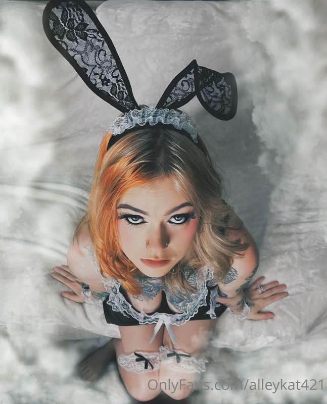 Maid Bunny 🐰