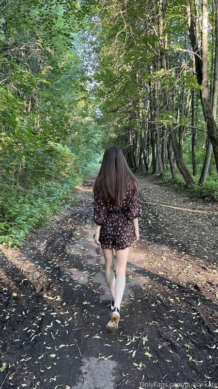🌳🛣🌳