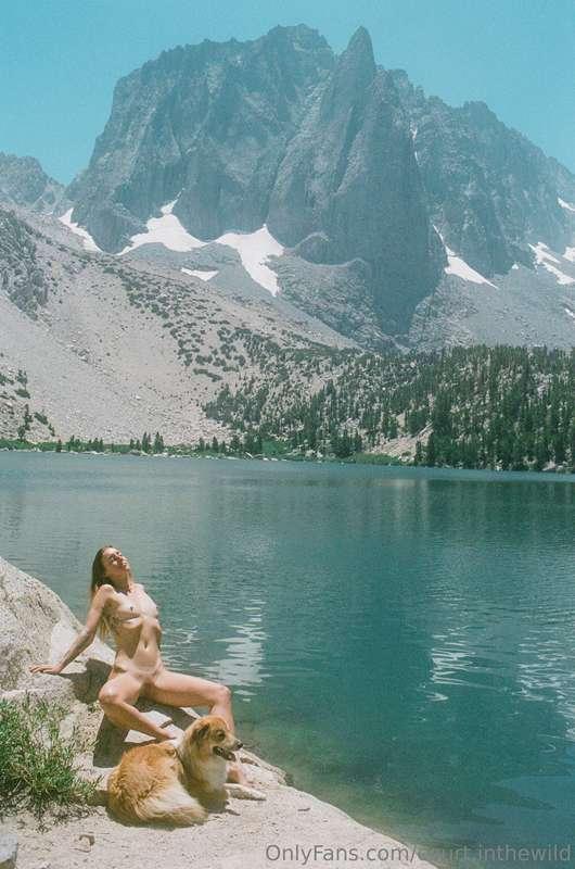 court.inthewild image #9